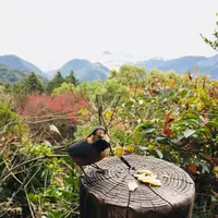金峰山の写真・動画_image_558143