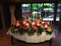 白梅の写真・動画_image_558230