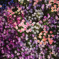 里山ガーデンの写真・動画_image_558240