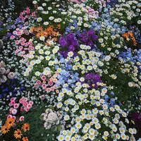 里山ガーデンの写真・動画_image_558241