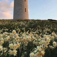 角島灯台　の写真・動画_image_558264