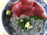 さんすいの写真・動画_image_560419