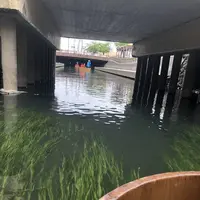 水の都　大垣市の写真・動画_image_560830