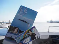 猿島の写真・動画_image_560979