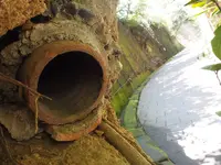 猿島の写真・動画_image_560982