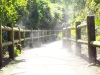 猿島の写真・動画_image_560984