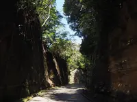 猿島の写真・動画_image_560985