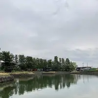 天王川公園の藤の写真・動画_image_561162