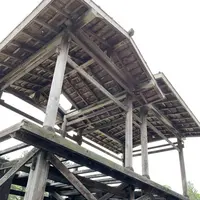 天王川公園の藤の写真・動画_image_561163