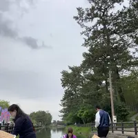 天王川公園の藤の写真・動画_image_561164