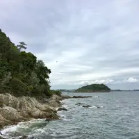 篠島の写真・動画_image_561209