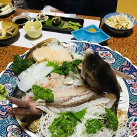 篠島の写真・動画_image_561211