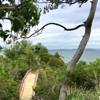 篠島の写真・動画_image_561212