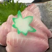 三崎館支店 香花の写真・動画_image_562546