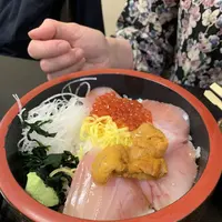 三崎館支店 香花の写真・動画_image_562547