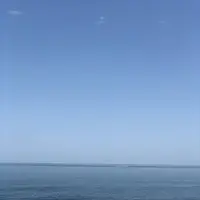 ワッカ原生花園の写真・動画_image_563270