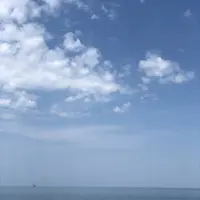 ワッカ原生花園の写真・動画_image_563272