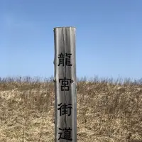 ワッカ原生花園の写真・動画_image_563276