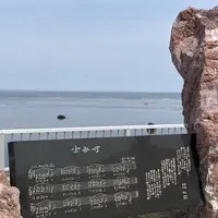 宗谷岬の写真・動画_image_563628