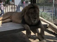 桐生が岡動物園の写真・動画_image_563845