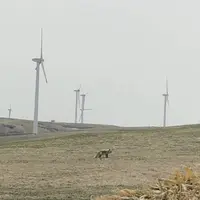 白い貝殻の道の写真・動画_image_563971