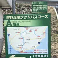 白い貝殻の道の写真・動画_image_563976