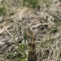 白い貝殻の道の写真・動画_image_563977