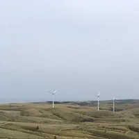 白い貝殻の道の写真・動画_image_563978