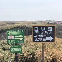 白い貝殻の道の写真・動画_image_563982