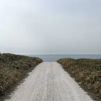 白い貝殻の道の写真・動画_image_563983