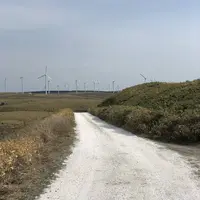白い貝殻の道の写真・動画_image_563985