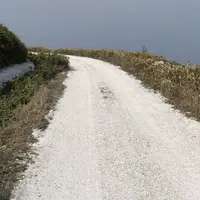 白い貝殻の道の写真・動画_image_563986