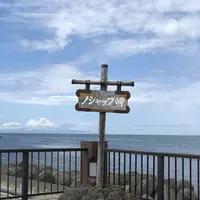 ノシャップ岬の写真・動画_image_564007