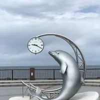 ノシャップ岬の写真・動画_image_564008
