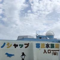 稚内市立ノシャップ寒流水族館の写真・動画_image_564026