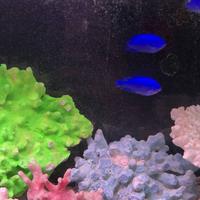 稚内市立ノシャップ寒流水族館の写真・動画_image_564046
