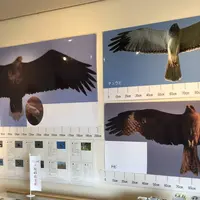 道の駅てしおの写真・動画_image_564289