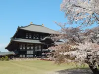 東大寺の写真・動画_image_564633