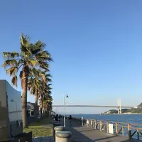 唐戸市場の写真・動画_image_564863