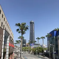 大歳神社の写真・動画_image_564873