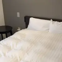 三笠天然温泉 太古の湯スパリゾート HOTEL TAIKO 別邸 旅籠の写真・動画_image_565382