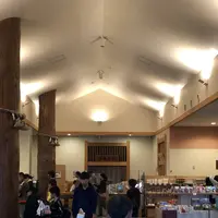 三笠天然温泉 太古の湯の写真・動画_image_565393