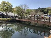 道の駅 川場田園プラザの写真・動画_image_565631