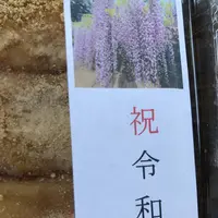 白毫寺の写真・動画_image_566045