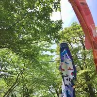 東京ミッドタウンの写真・動画_image_566271