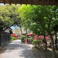 蔵日和の写真・動画_image_566413