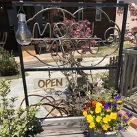 mogumogu（不定休）の写真・動画_image_566425