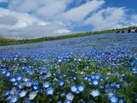 みなとパンの写真・動画_image_566455