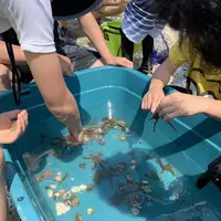 シークロップダイビングスクールの写真・動画_image_567091