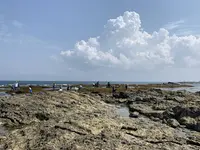 シークロップダイビングスクールの写真・動画_image_567093